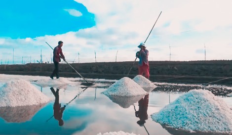 Đề nghị công nhận “Nghề làm muối Bạc Liêu” là Di sản văn hóa phi vật thể quốc gia