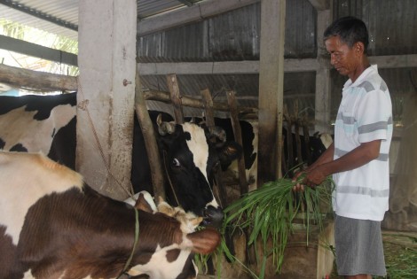 Vùng đồng bào Khmer miền Tây Nam bộ thay áo mớiBài 3: Lo sinh kế, lo an cư cho đồng bào
