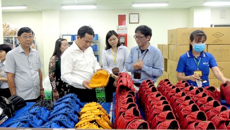 Đẩy mạnh hỗ trợ và phát triển doanh nghiệp