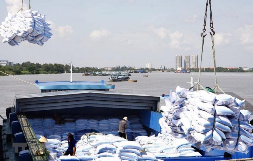 Phó Thủ tướng yêu cầu báo cáo việc mở tờ khai xuất khẩu gạo