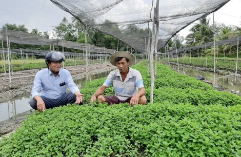 Vì nhân dân phục vụ