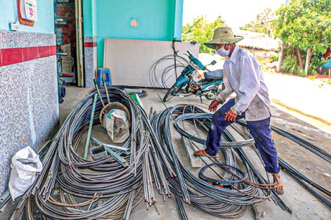 Nguồn cung dồi dào, giá ít biến động