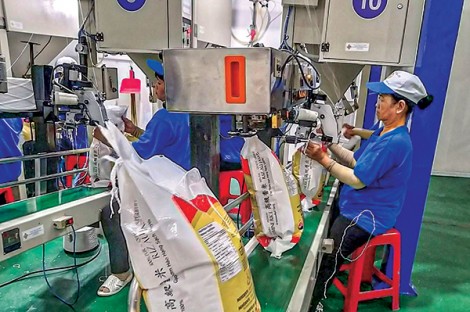 Kim ngạch xuất khẩu nhóm hàng nông, lâm, thủy sản giảm 8,3%
