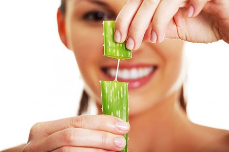 Chữa vết muỗi đốt không dùng thuốc