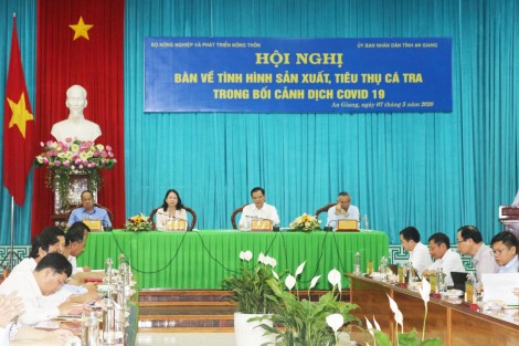 Tìm giải pháp tháo gỡ khó khăn, thúc đẩy sản xuất, tiêu thụ cá tra