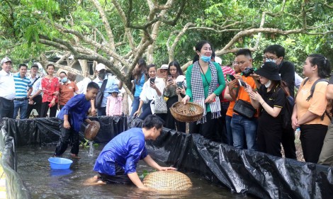 Cồn Sơn đón khách trở lại

từ ngày 11-5