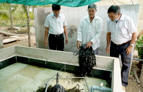 Thi đua gương mẫu