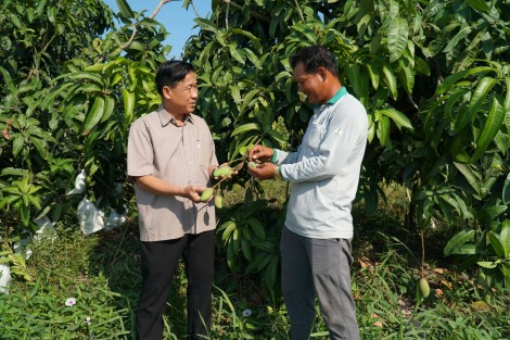 Khi ý Đảng hợp lòng Dân