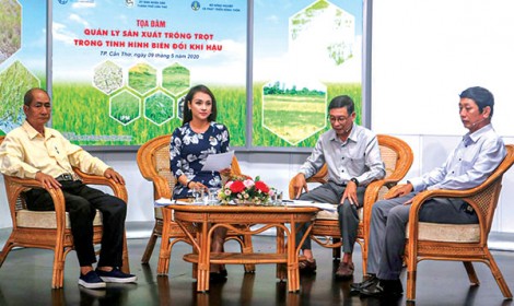 Chủ động bảo vệ cây trồng trước ảnh hưởng của biến đổi khí hậu