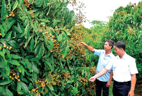 Khai thác tiềm năng, nâng tầm sản phẩm địa phương