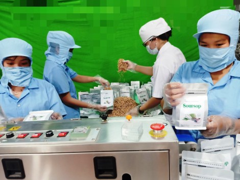 Trà mãng cầu xiêm Kim Nhiên - sản phẩm công nghiệp nông thôn