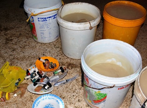 Bơm tạp chất vào tôm, một thương lái bị phạt 60 triệu đồng