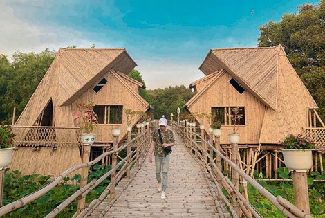 Trà Sư - những ngày vào hạ