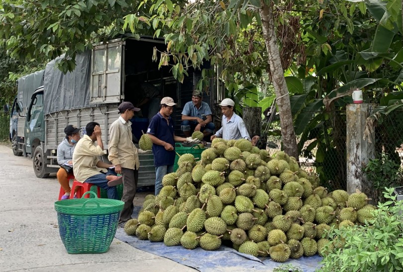 Để khai thác hiệu quả

thị trường EU từ EVFTA