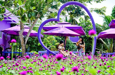 Về Cần Thơ khám phá Căn nhà màu tím