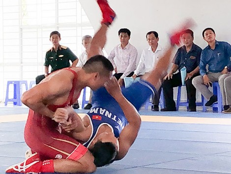 Bàn hướng phát triển môn Vật ở khu vực phía Nam