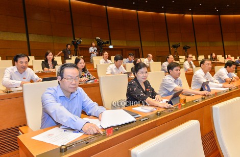 Biểu quyết thông qua Luật Thanh niên (sửa đổi) và Luật Hòa giải, đối thoại tại Tòa án