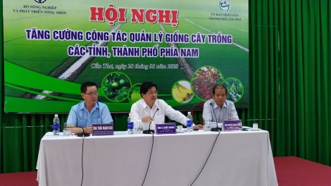 Tăng cường quản lý giống cây trồng