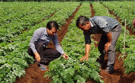 Tập đoàn Syngenta cam kết đầu tư 2 tỉ USD vào nông nghiệp bền vững