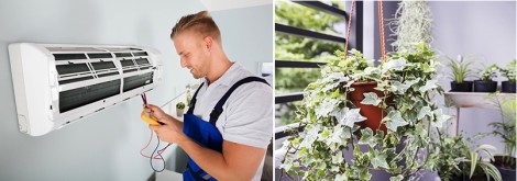 Phòng ngừa các bệnh dị ứng đường hô hấp