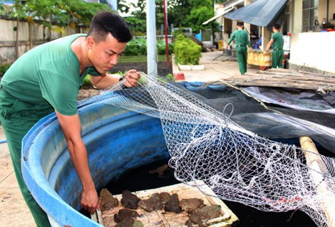 Ngành Hậu cần Quân khu 9 tiết kiệm hơn 40 tỉ đồng