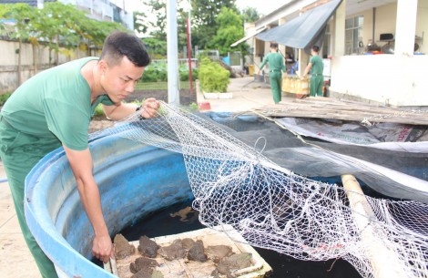 Ngành Hậu cần Quân khu 9

làm theo lời Bác Hồ dạy