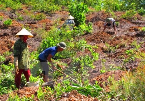 Kiến nghị hỗ trợ chính sách đất đai cho đồng bào dân tộc thiểu số