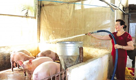 “Đầu tàu” đảm đang, năng động