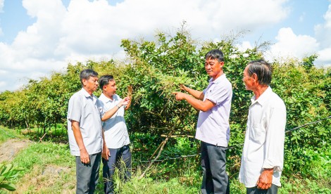 Quyết tâm đưa Tân Thạnh phát triển mạnh mẽ