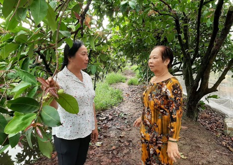 Làm việc có ích cho dân