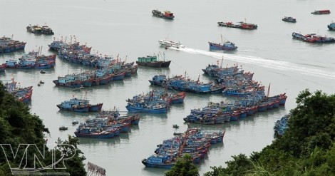 Khám phá làng chài cổ nhất Việt Nam