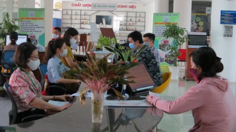 Quy định về có việc làm trong thời gian hưởng trợ cấp thất nghiệp