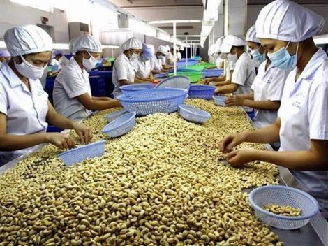 Bộ Công Thương công bố 268 doanh nghiệp xuất khẩu uy tín năm 2019