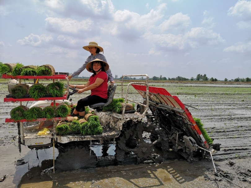 Góp sức phát triển nền nông nghiệp hiện đại, vững tin hội nhập