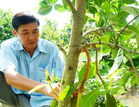 Cựu chiến binh vùng ĐBSCL làm theo lời Bác 

Bài 2: Tỏa sáng phẩm chất “Bộ đội Cụ Hồ”