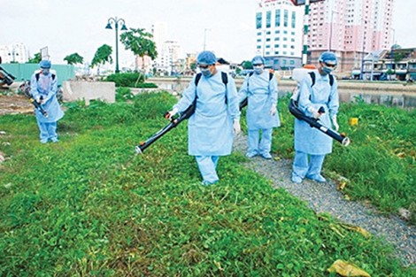 Tăng cường công tác phòng, chống dịch bệnh do muỗi truyền
