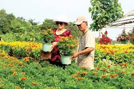 Đề nghị đánh giá hiệu quả mô hình thí điểm sản xuất nông nghiệp đô thị (tiếp theo kỳ trước)