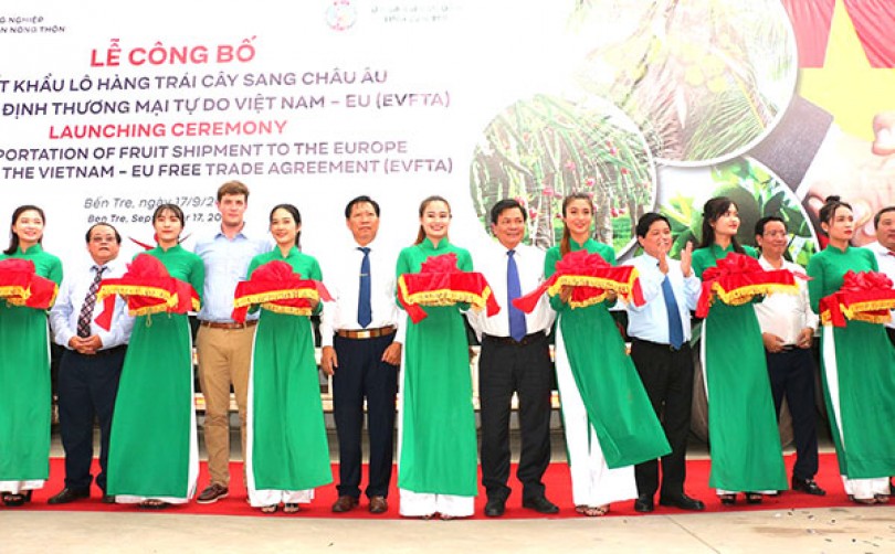 Công bố lô trái cây đầu tiên đi châu Âu theo EVFTA