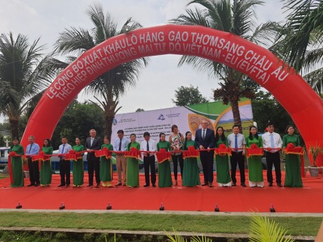 Xuất khẩu 126 tấn gạo thơm sang EU hưởng thuế ưu đãi từ EVFTA