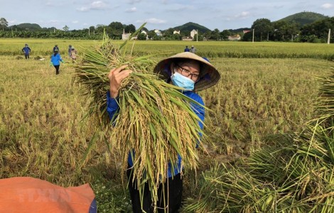 Việt Nam đặt 17 mục tiêu phát triển bền vững đến năm 2030