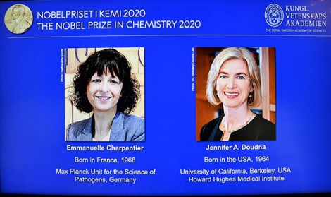 Nobel Hóa học 2020 được trao cho hai nhà khoa học phát triển phương pháp chỉnh sửa gene