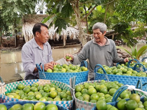 Lan tỏa việc làm theo gương Bác