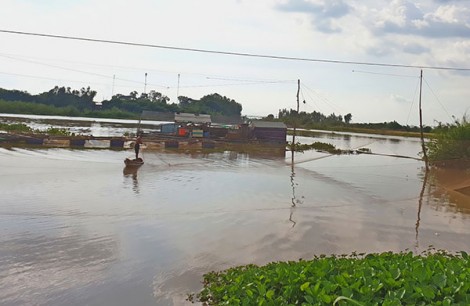 Miền Tây khi lũ không về