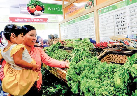 Liên kết giải bài toán đầu ra cho nông sản