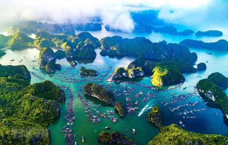 Bảo tồn biển Việt Nam: Thực trạng và những vấn đề cấp bách hiện nay