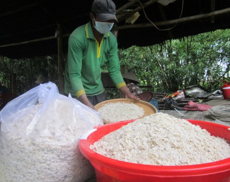 Mùa cốm dẹp ở Phước Quới 