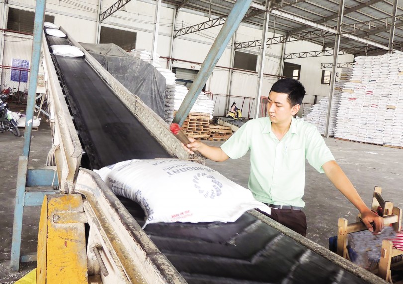 Linh hoạt đón thời cơ, phát huy nội lực