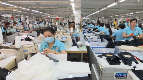 Cần chính sách dài hơi