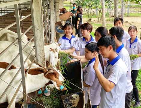Hướng mở mới cho nguồn nhân lực