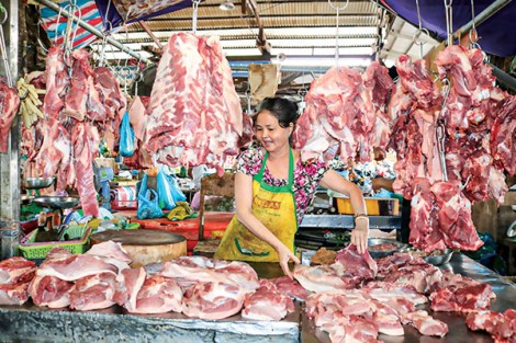 Nguồn cung dồi dào, giá giảm